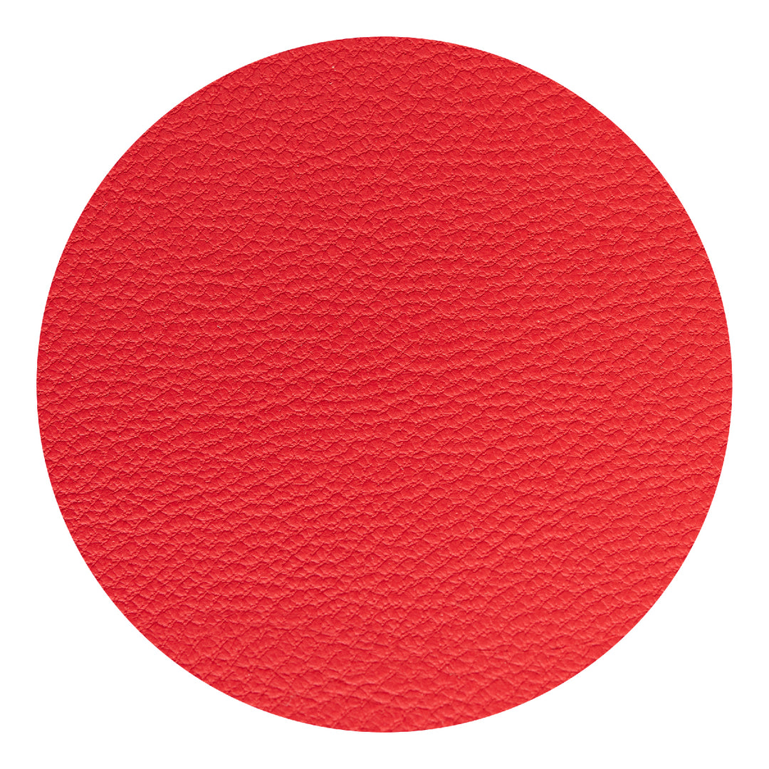 Apple Skin Journal