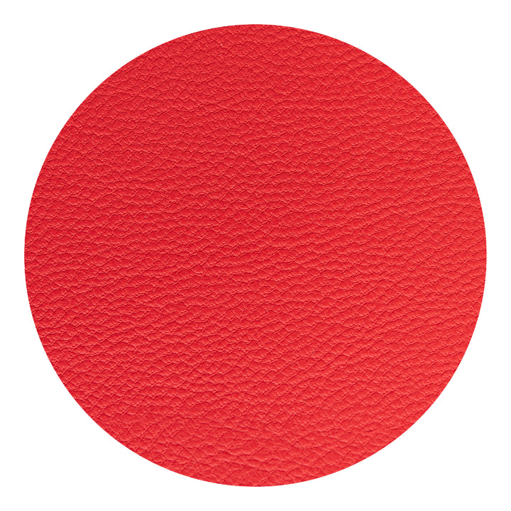 Apple Skin Journal