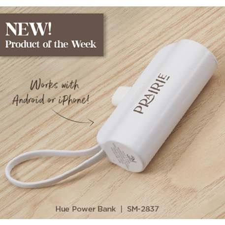 Hue 5000 mAh Power Bank with Multi Tips
