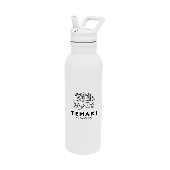 17 Oz. Hailey Recycled Stainless Steel Bottle