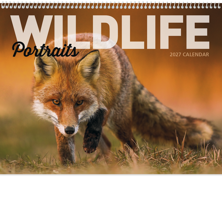 Good Value™ Wildlife Portraits - Spiral Calendar