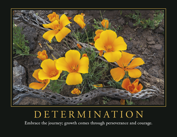 Triumph® Calendars Motivations Calendar