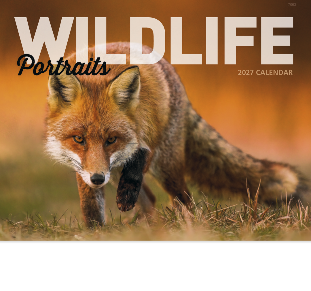 Good Value™ Wildlife Portraits - Stapled Calendar