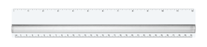 12" Magnifying Ruler