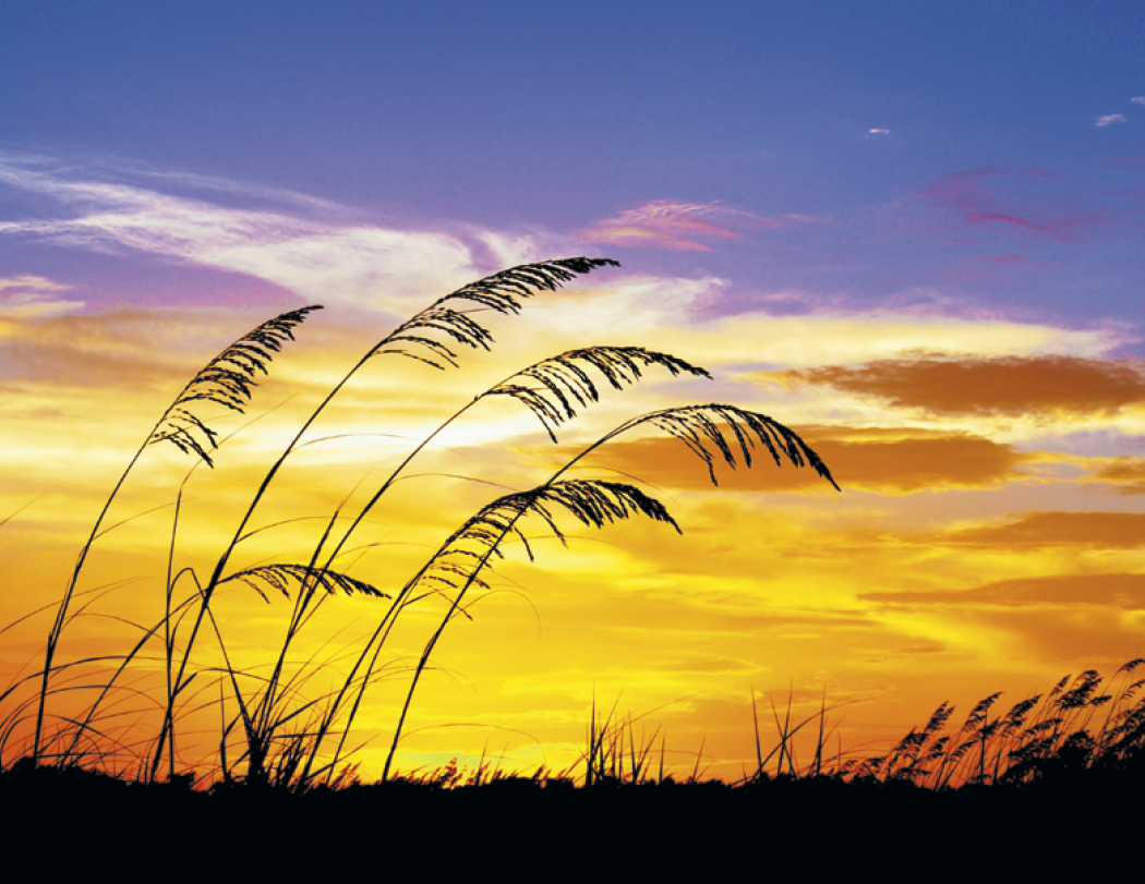 Triumph® Calendars Sunrise Sunset Calendar