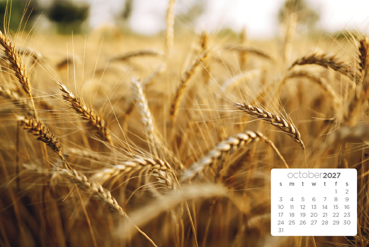 Triumph® Calendars Simplicity Large Desk Calendar