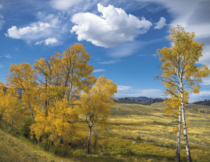 Triumph® Calendars American Splendor Calendar