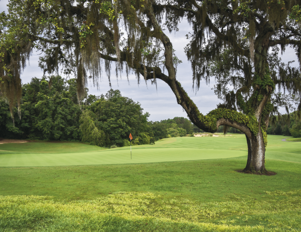 Triumph® Calendars Golf Calendar