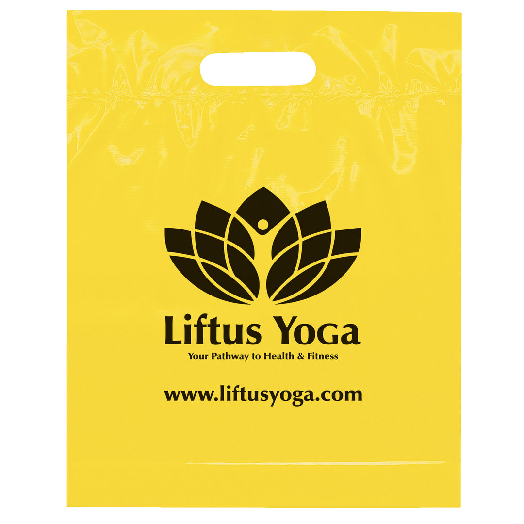 Die Cut Handle Bag - 12W x 15H x 3 - Flexo Ink Print