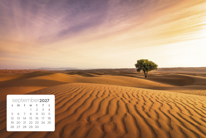 Triumph® Calendars Simplicity Large Desk Calendar
