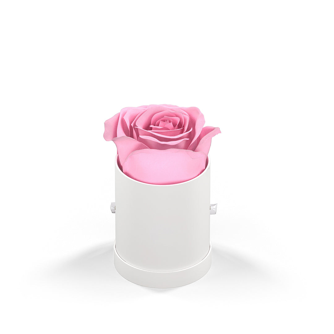 Classique by VeF Le Mini™ Round
