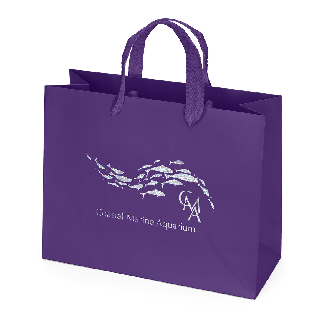 Paris - Matte Eurotote - Foil Print