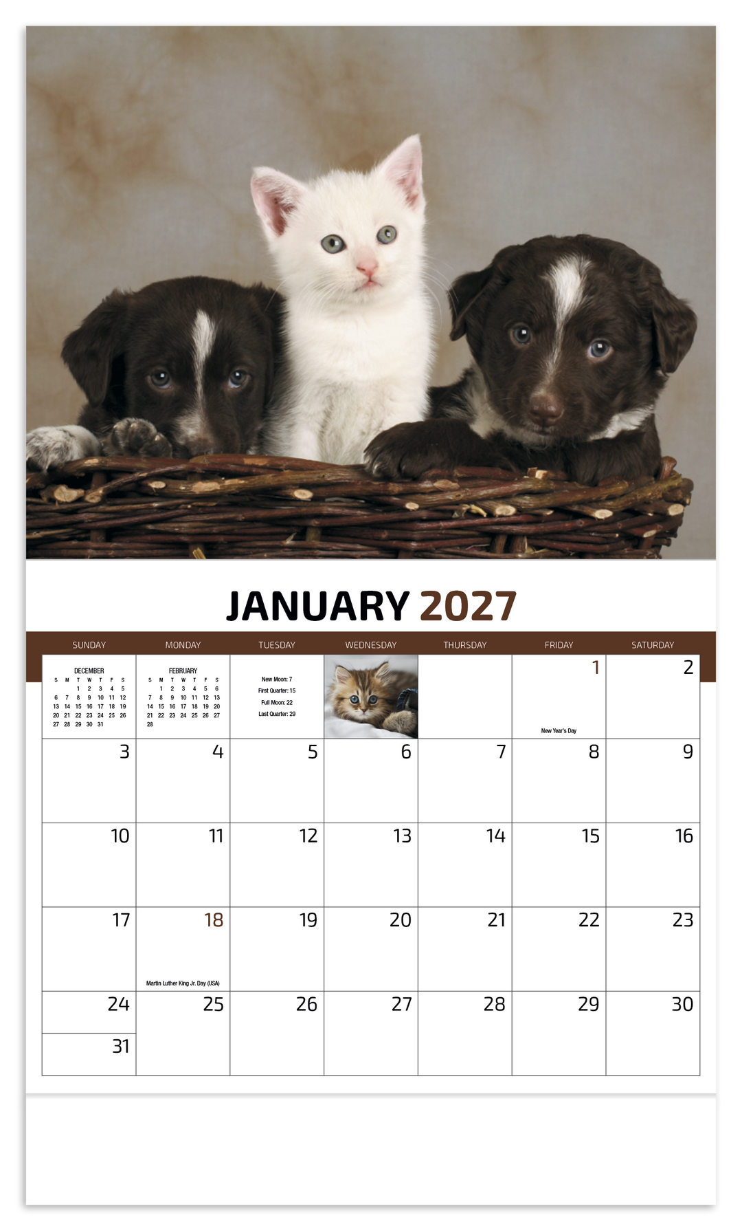 HotLine® Products Four Paws Appointment Calendar - Stapled