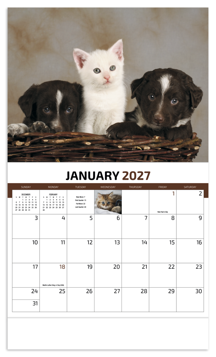 HotLine® Products Four Paws Appointment Calendar - Stapled