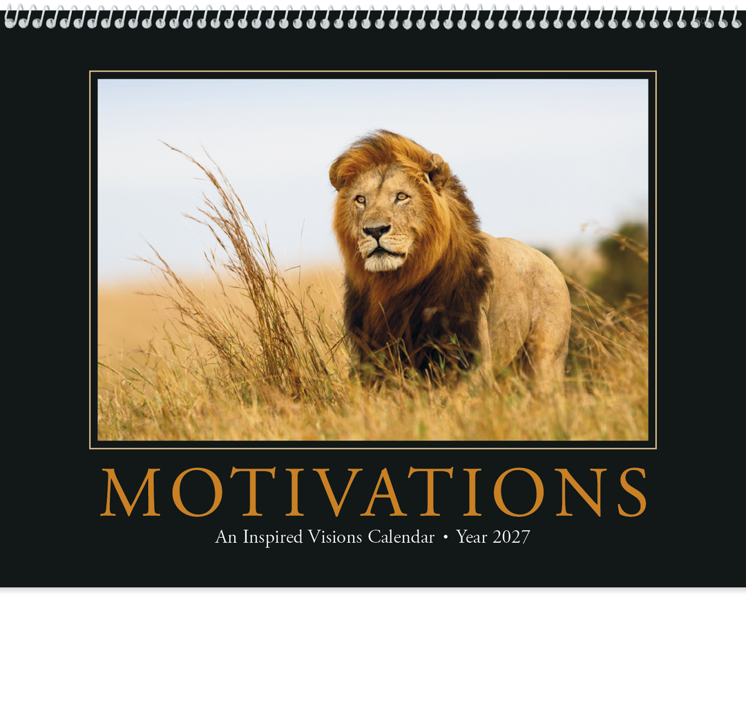 Triumph® Calendars Motivations Calendar
