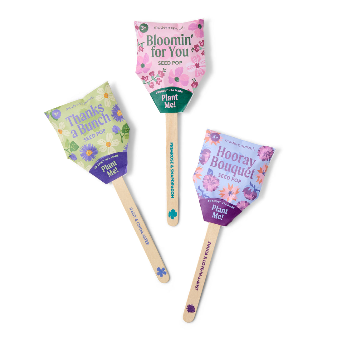 Modern Sprout® Flower Seed Pop