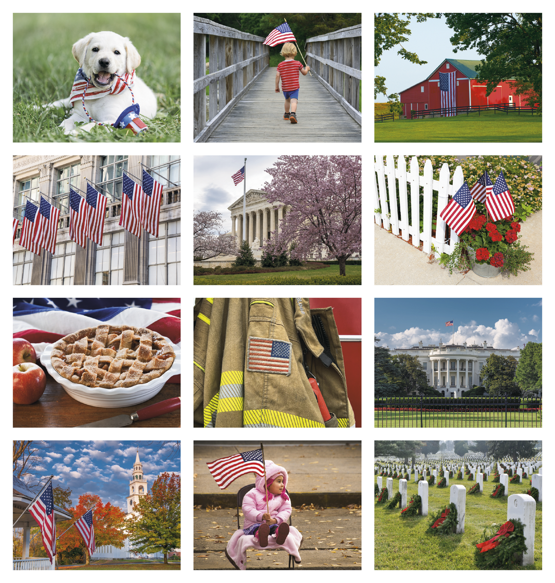 Good Value™ Celebrate America - Spiral Calendar