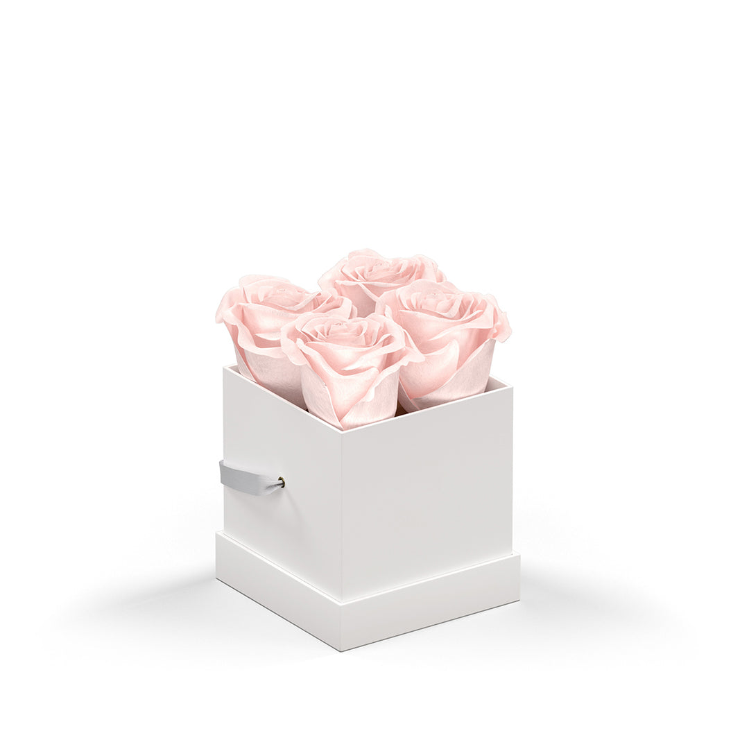 Classique by VeF Petit