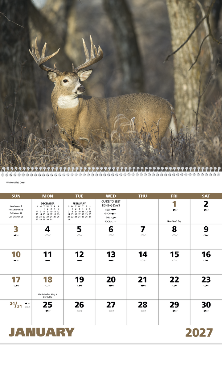 Good Value™ Wildlife Portraits - Spiral Calendar