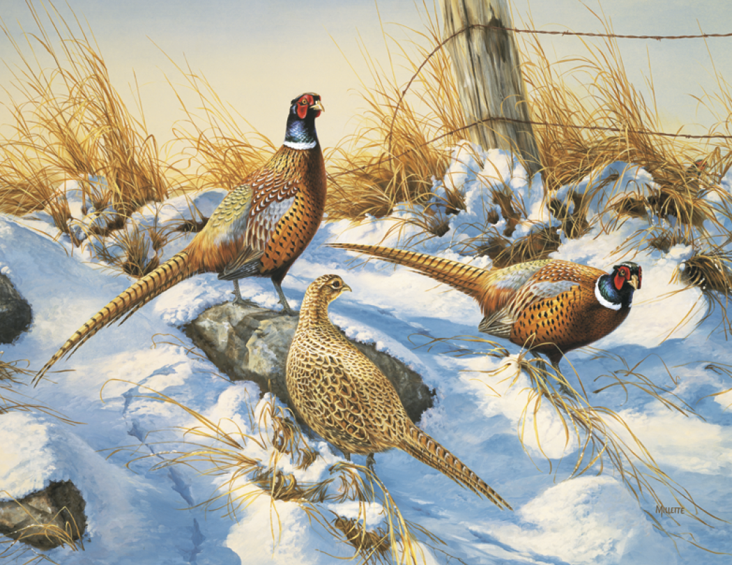 Triumph® Calendars Wildlife Art Calendar