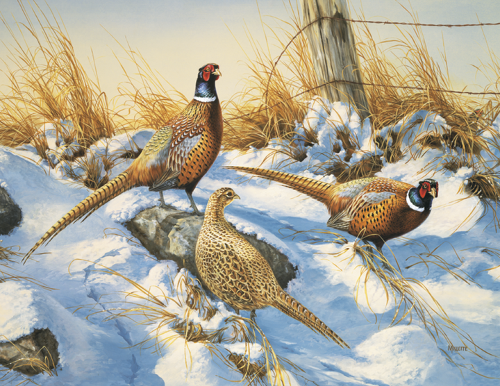 Triumph® Calendars Wildlife Art Calendar