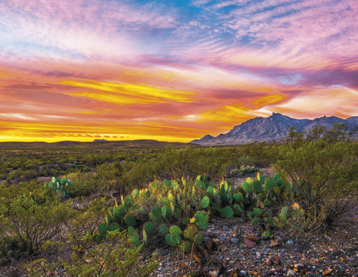Triumph® Calendars National Parks Calendar