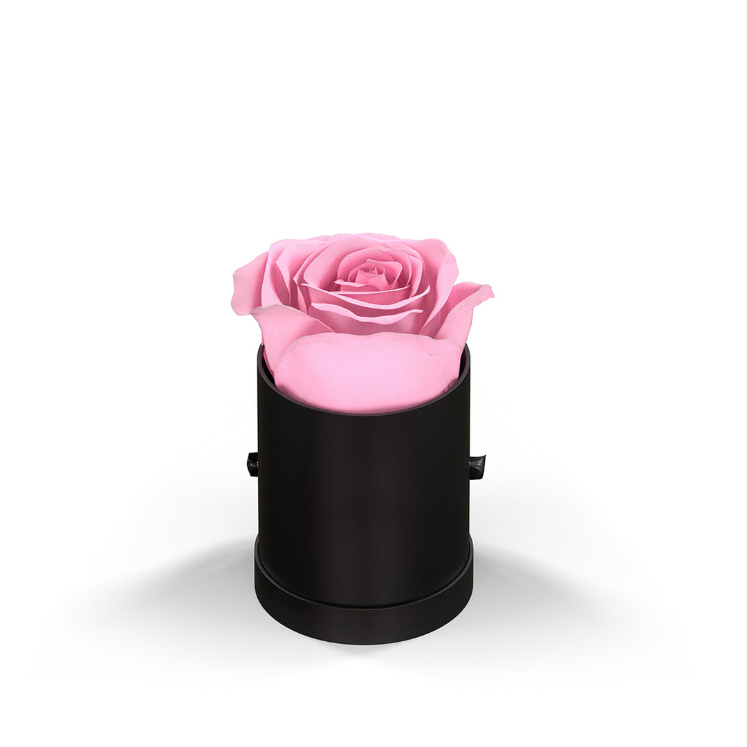 Classique by VeF Le Mini™ Round