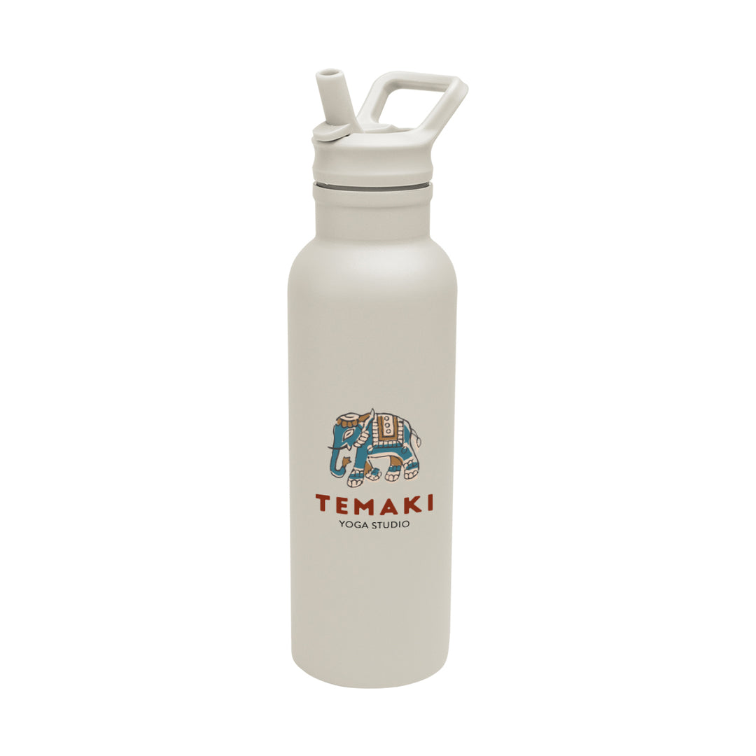 17 Oz. Hailey Recycled Stainless Steel Bottle