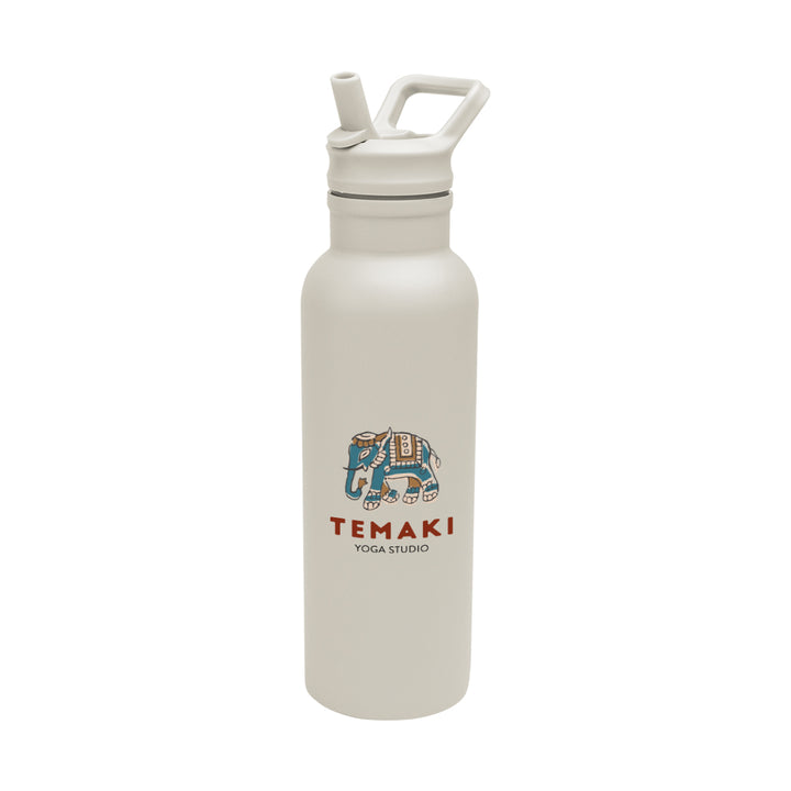 17 Oz. Hailey Recycled Stainless Steel Bottle