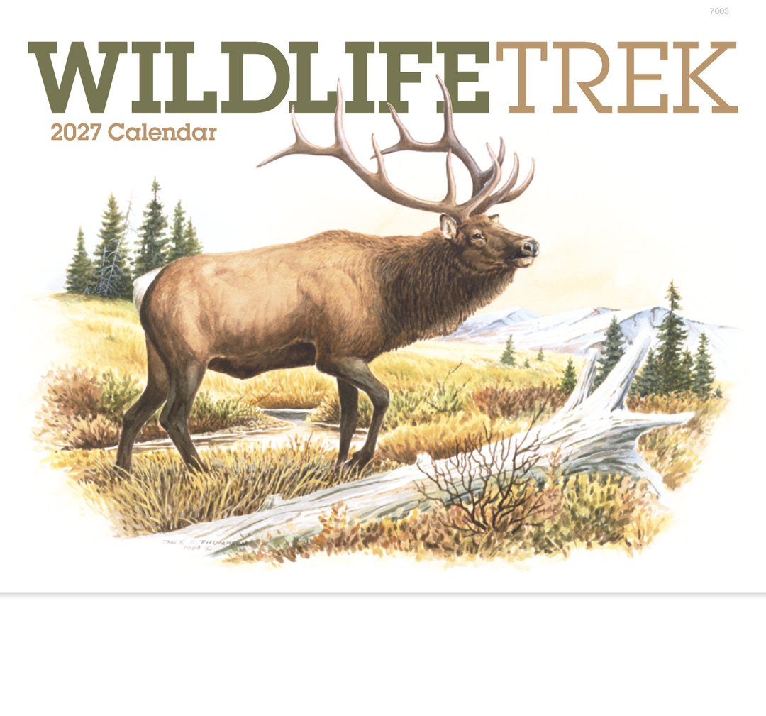 Good Value™ Wildlife Trek - Stapled Calendar