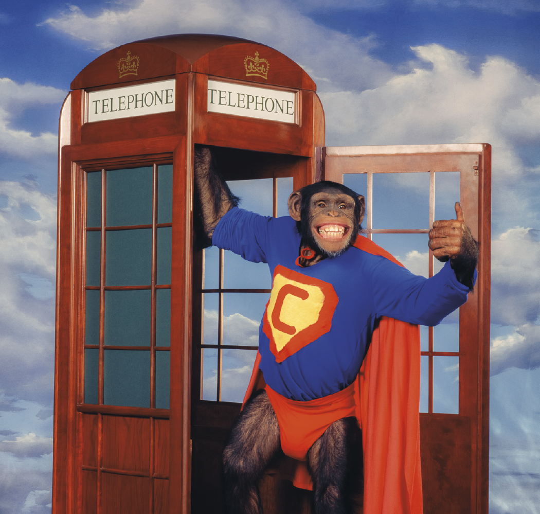 Triumph® Calendars Monkey Business Calendar