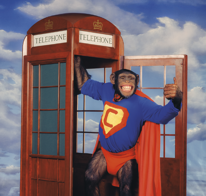 Triumph® Calendars Monkey Business Calendar