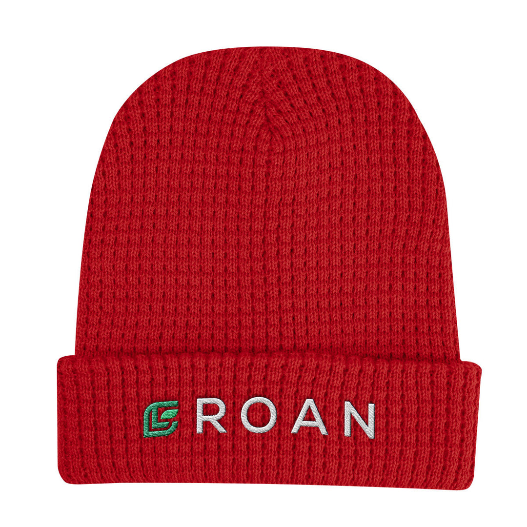 Whistler Waffle Knit rPET Beanie