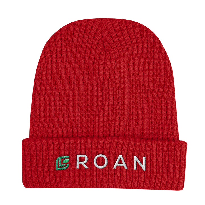 Whistler Waffle Knit rPET Beanie