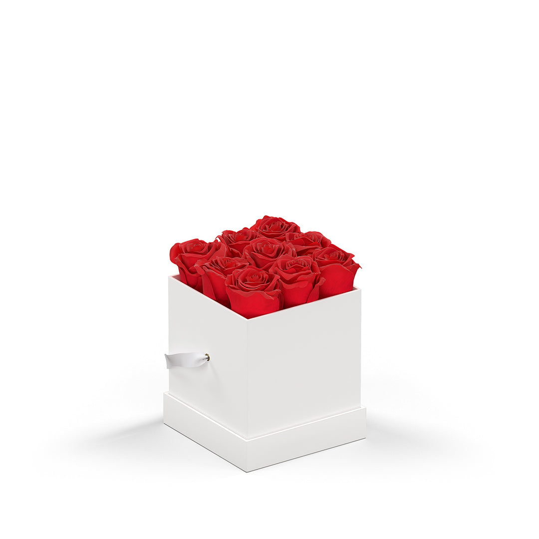 Classique Mini Square by VeF