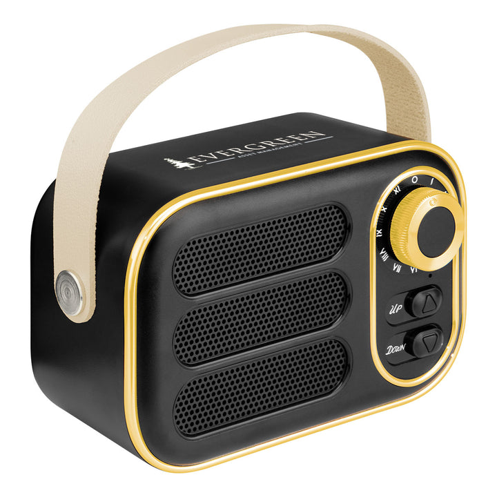 AWS Retro Boom FM Radio & Wireless Speaker