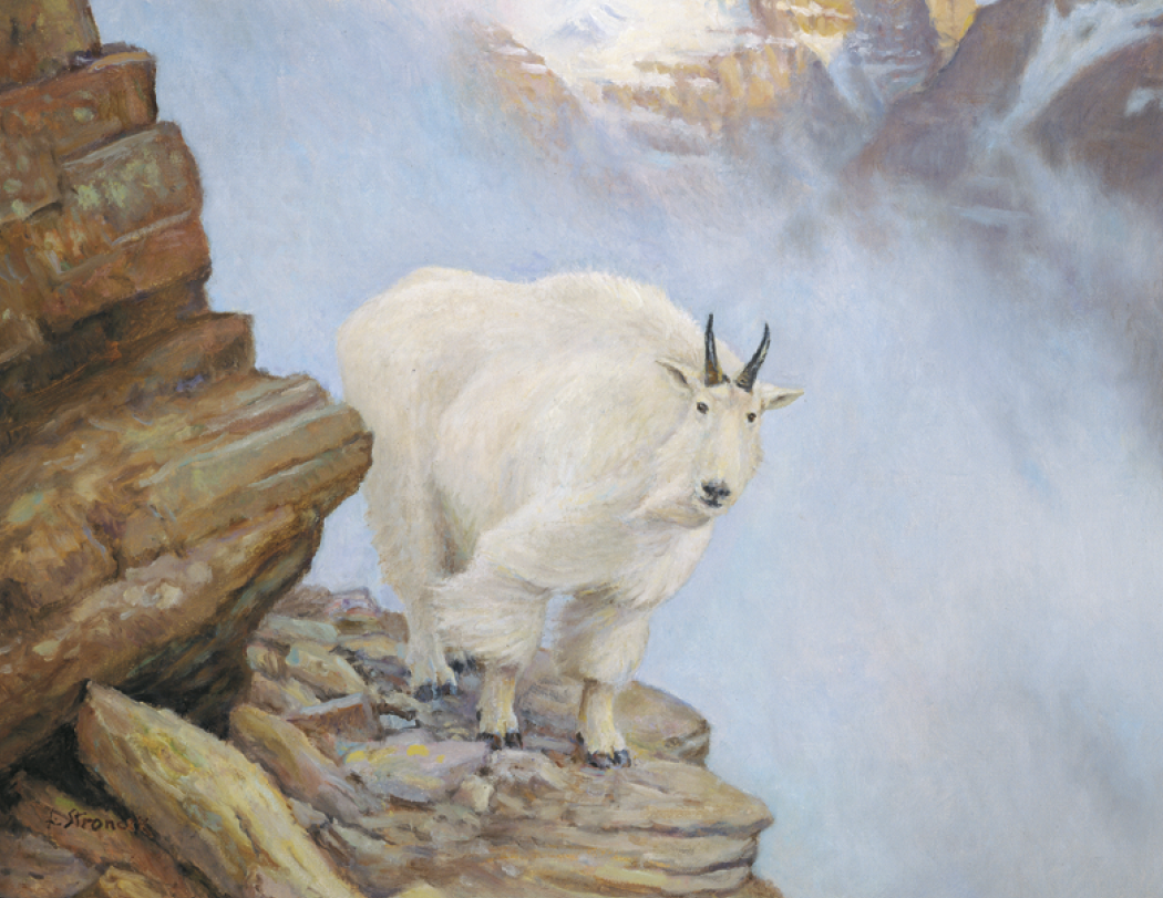 Triumph® Calendars Wildlife Art Calendar