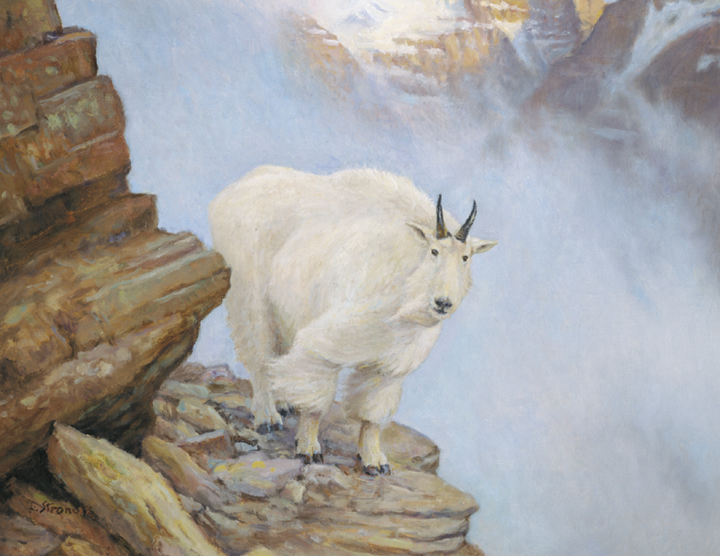 Triumph® Calendars Wildlife Art Calendar