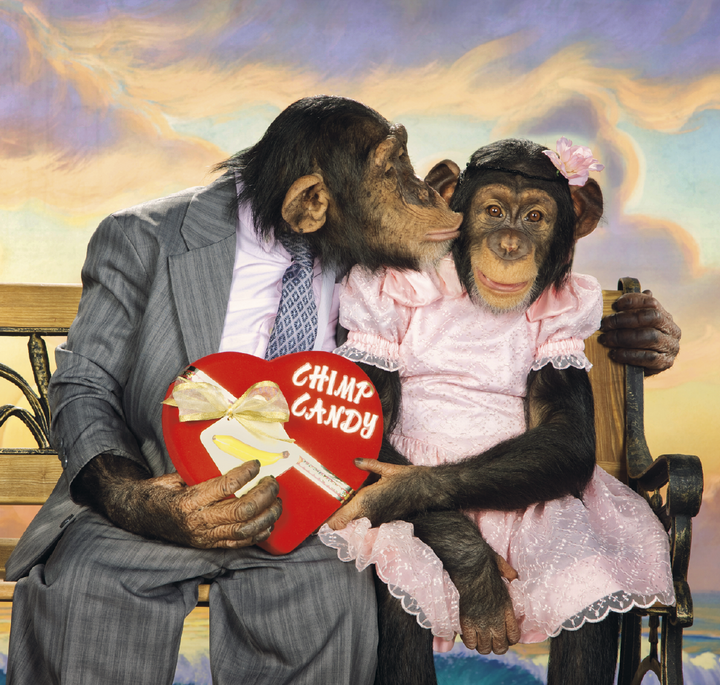 Triumph® Calendars Monkey Business Calendar
